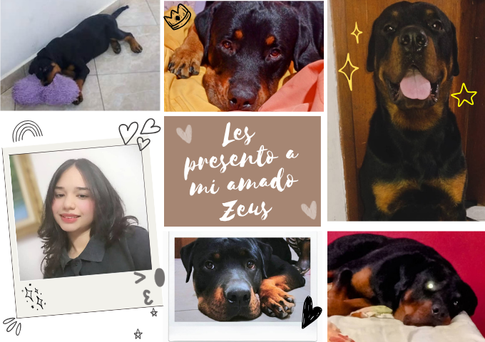 portada yo y zeus.png