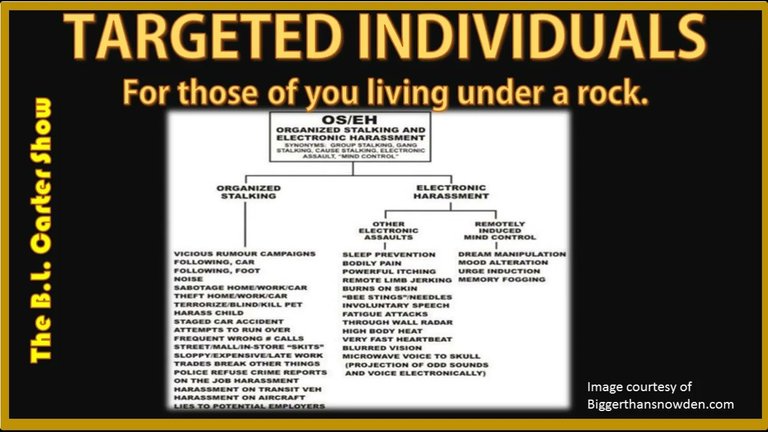 TargetedIndividuals.jpg