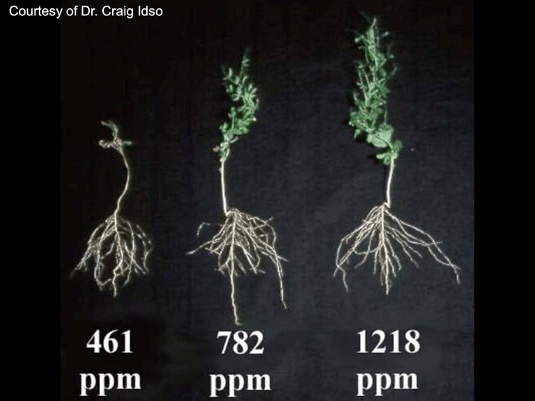 Co2PlantFertility.jpg