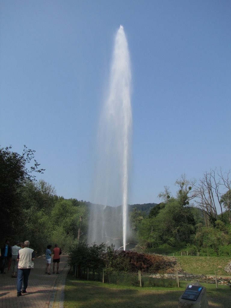 Geysir_Andernach_2009.jpg