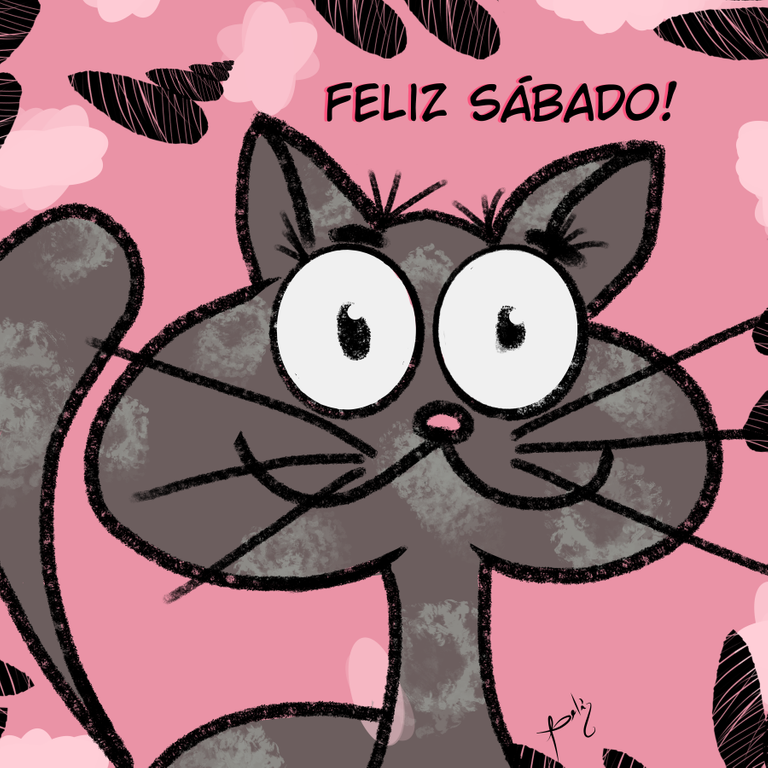 gato.png