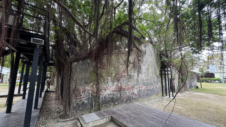 Another view of the overgrown trees that overwhelmed the warehouse region, there are stairs behind the wall to access the aerial platforms