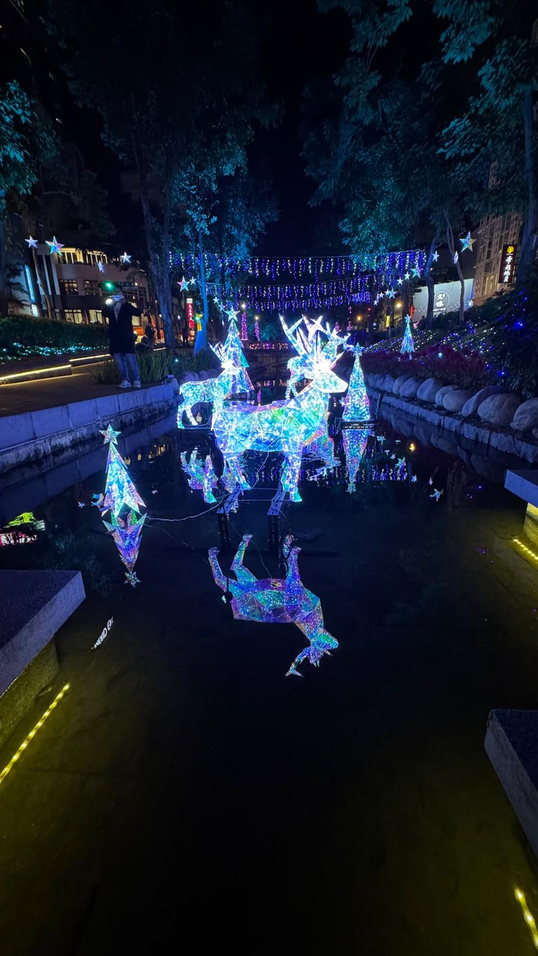 Christmas Decoration