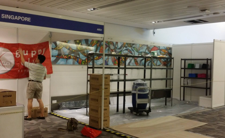Setting Up Local Competition