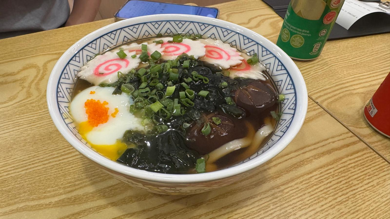 Classic Udon