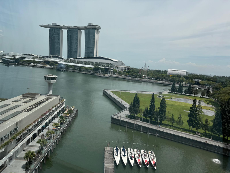 Marina Bay Sands Day from Customs House