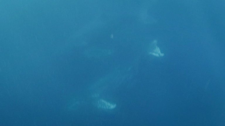 1000020109.jpg