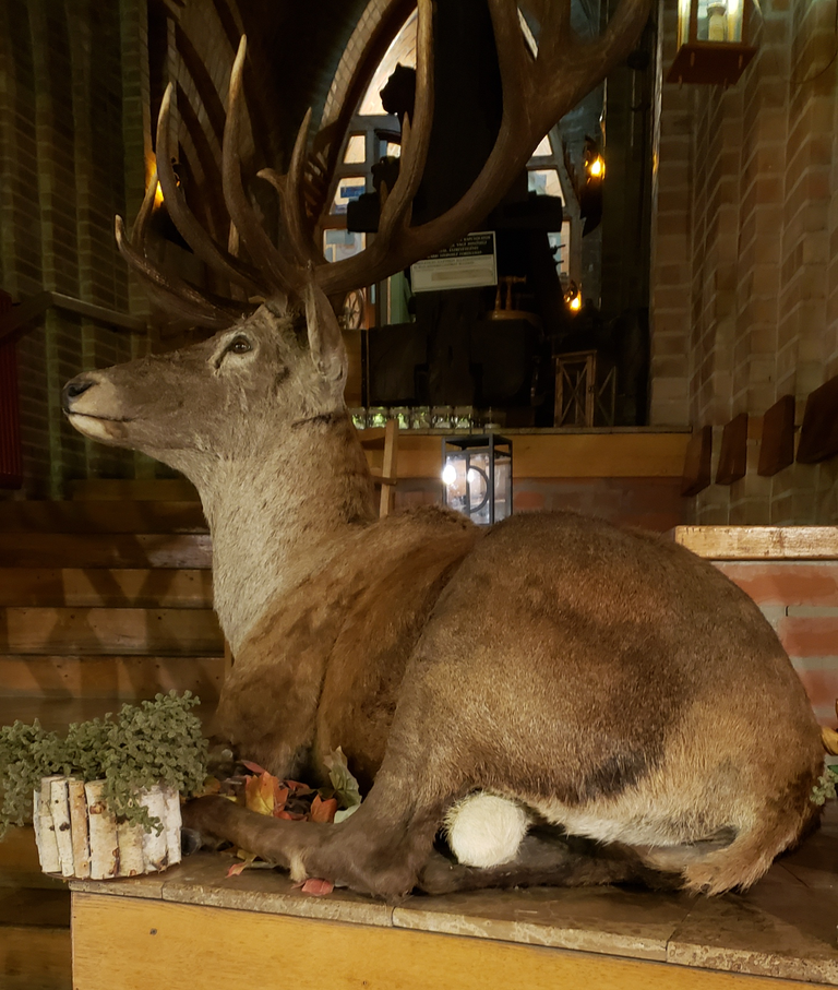 11-13_male_deer.png