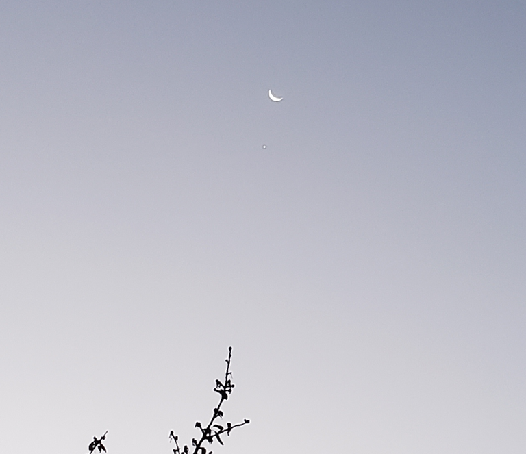 11-10_moon_venus.png