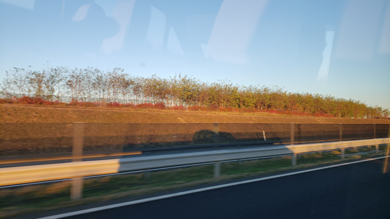 11-17_shuttle_shadow.png