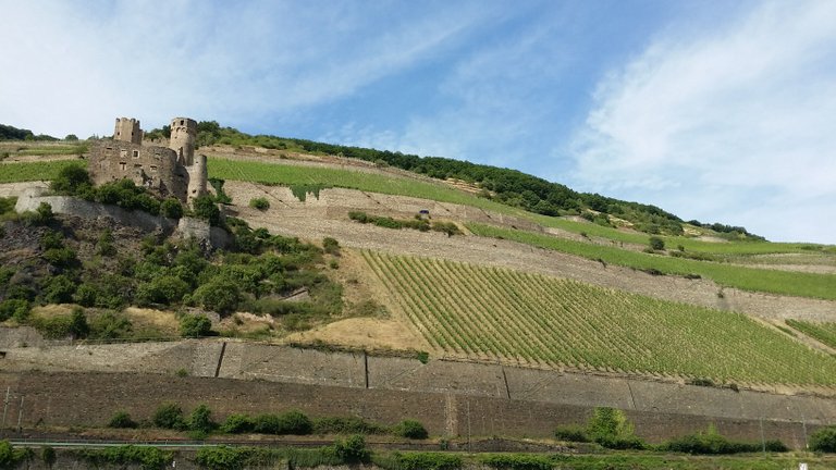 11. 20140623_162719 - Ehrenfels castle near Rüdesheim.jpg