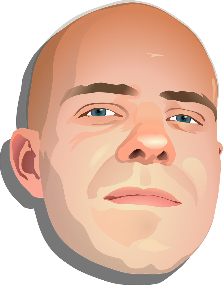 bald-head-g313058295_1280.png