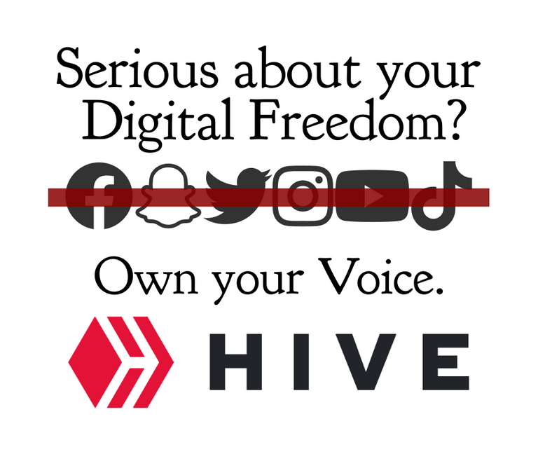 Own Your Digital Freedom