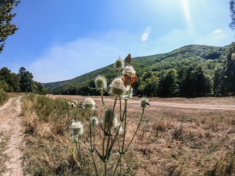 selo-ichera (173 of 204).jpg