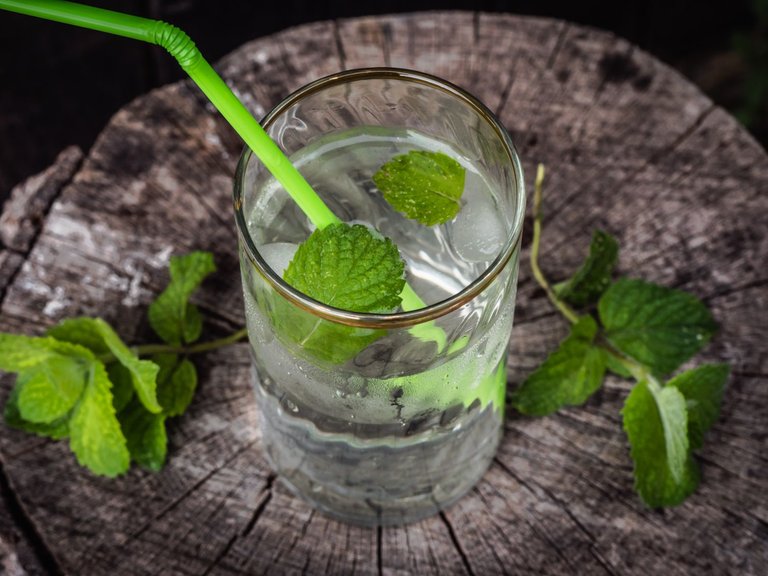 mint_sirop (6 of 11).jpg