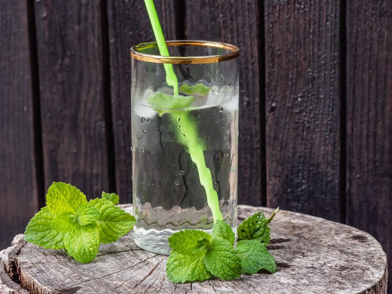 mint_sirop (2 of 11).jpg