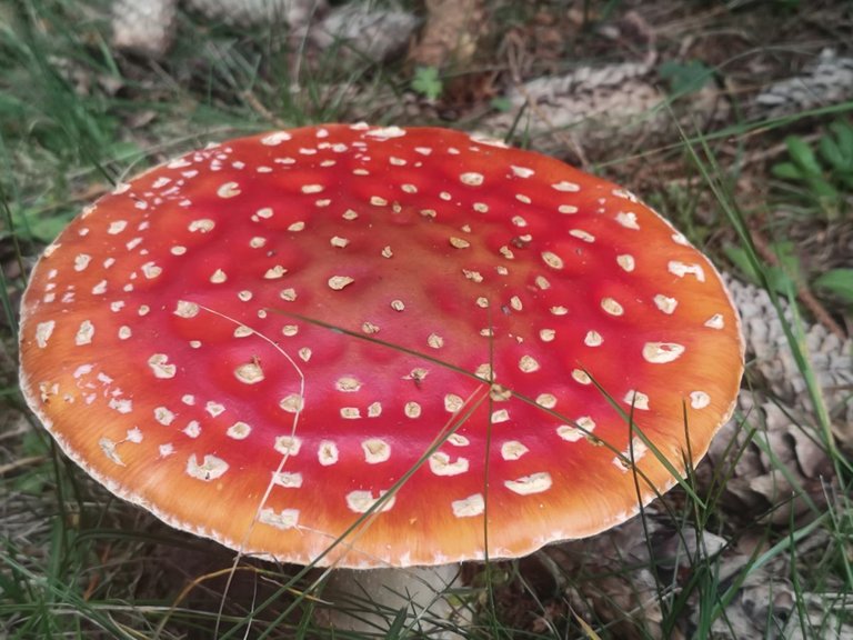vilijtsa2 (59 of 153).jpg