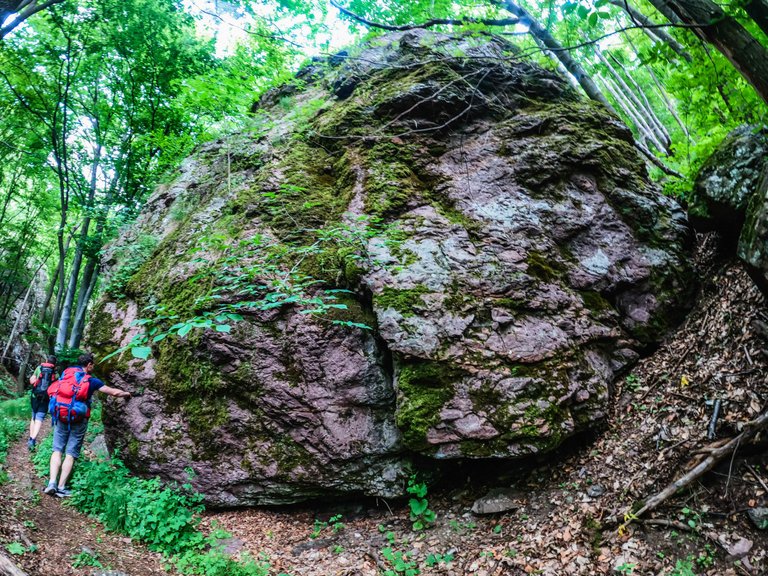 DOLAPITE (131 of 150).jpg