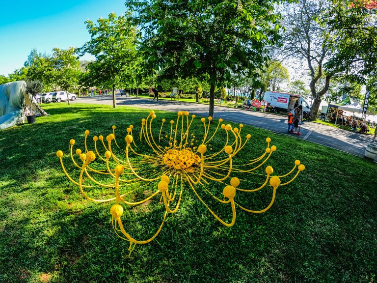 flora2025-45.jpg