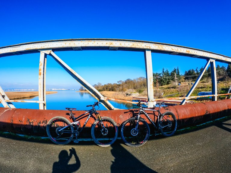cycpoda-28.jpg