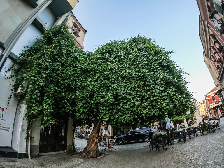 plovdiv (35 of 155).jpg