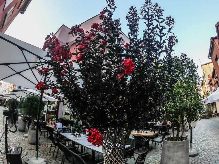 plovdiv (32 of 155).jpg