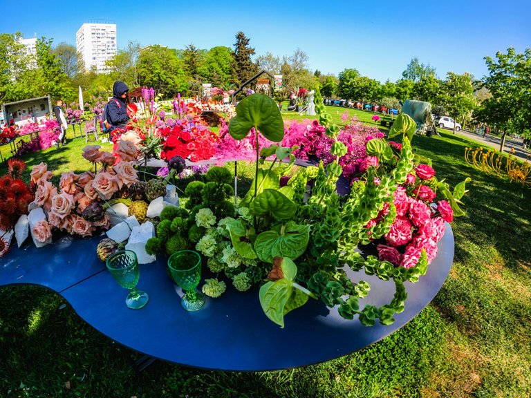 flora2025-43.jpg