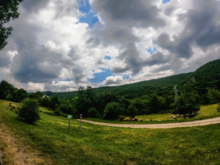 whiteriver (27 of 100).jpg