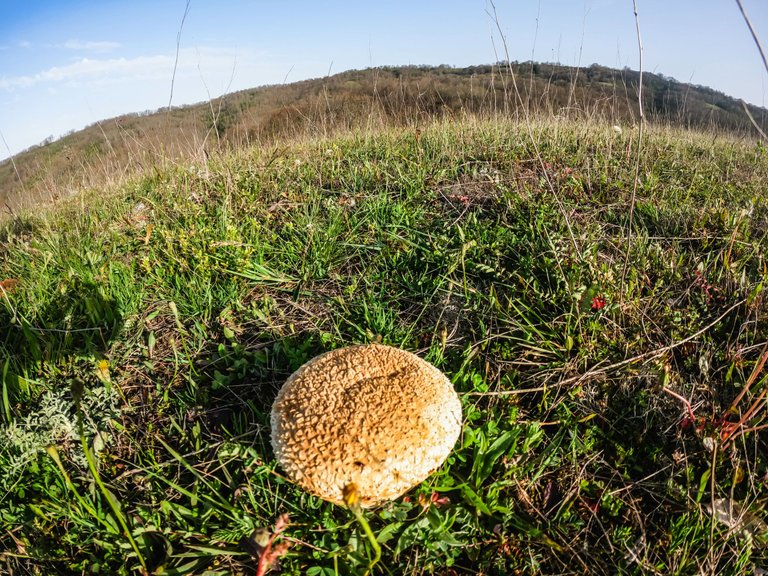 stoilovo-159.jpg