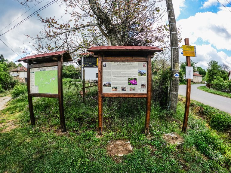 zelenika-8.jpg
