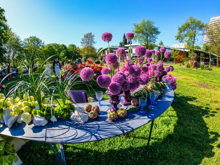 flora2025-37.jpg