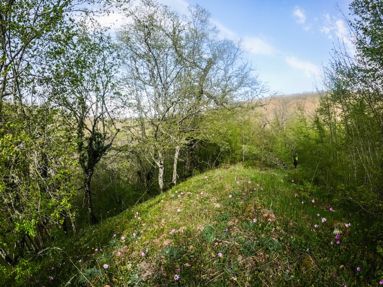 stoilovo-144.jpg