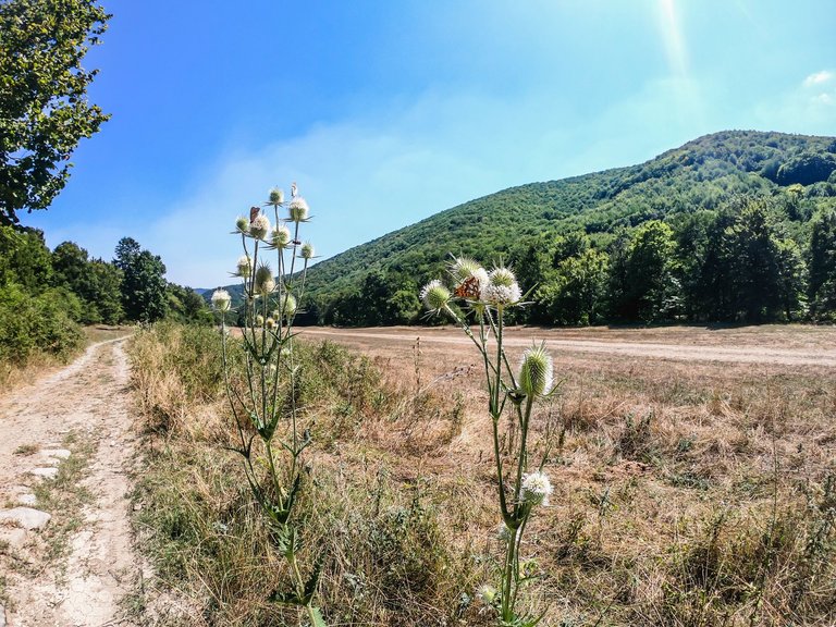 selo-ichera (172 of 204).jpg