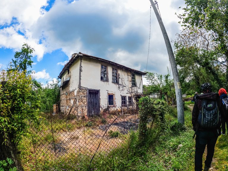 zelenika-10.jpg