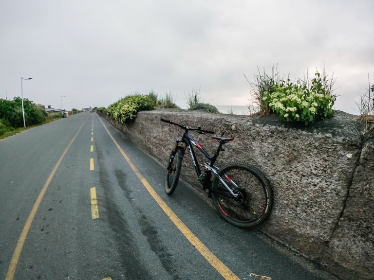 cycling (8 of 51).jpg