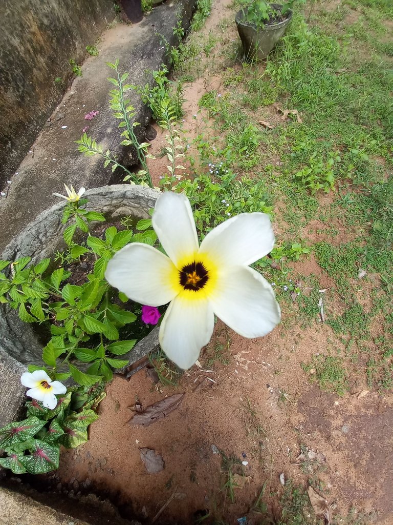 20220828_104645.jpg