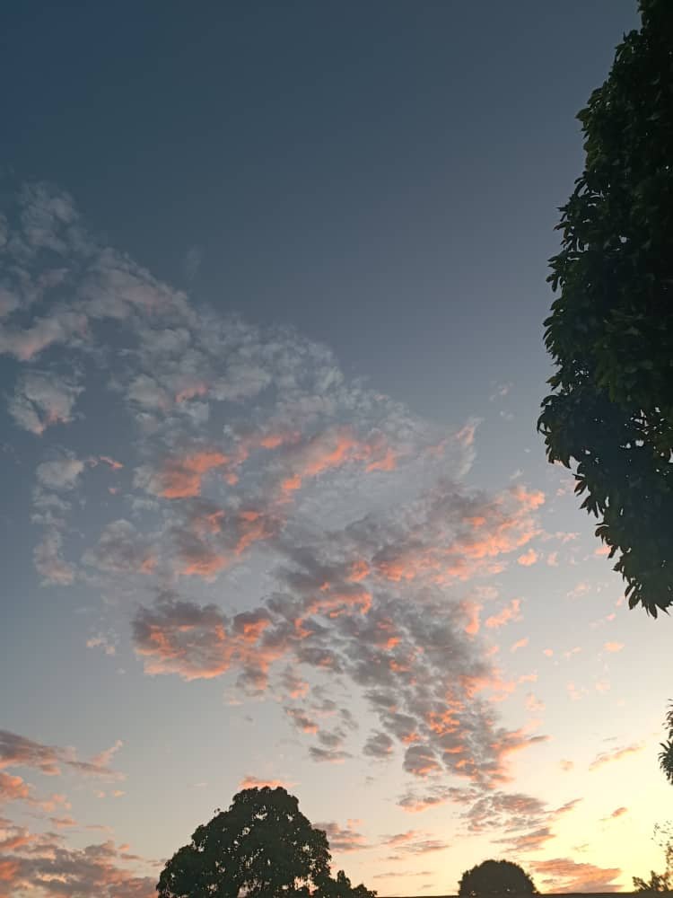 ba5c16a1-0485-4e60-a827-e4fbb6186db1.jpg