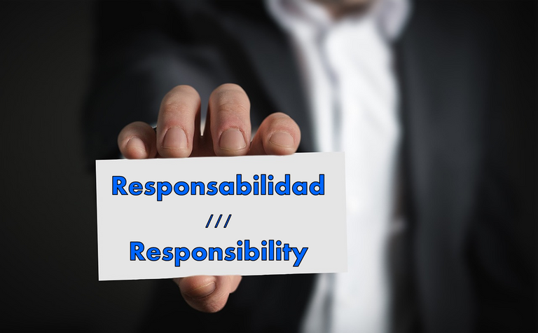 ¿Porque no pueden ser RESPONSABLES? Esp-Eng