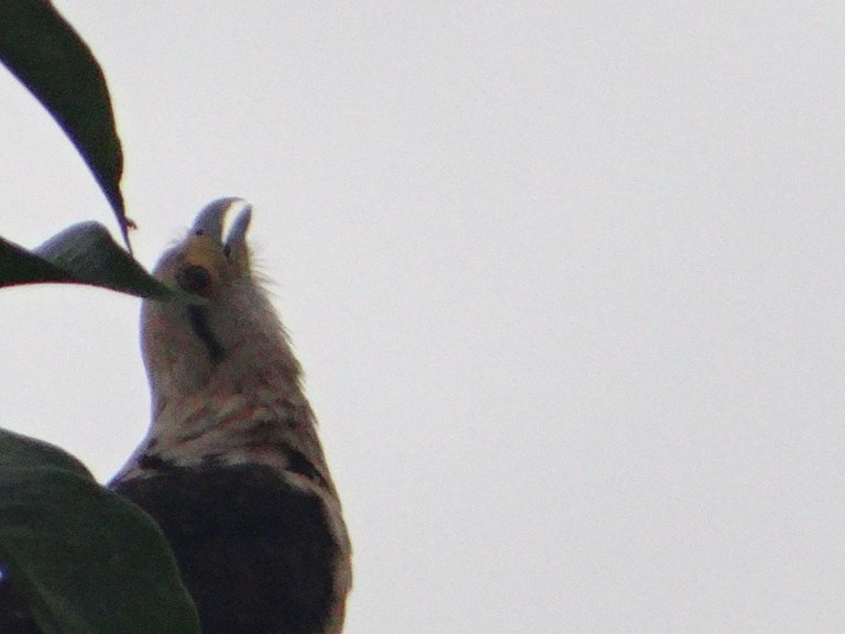 DSC04843.JPG
