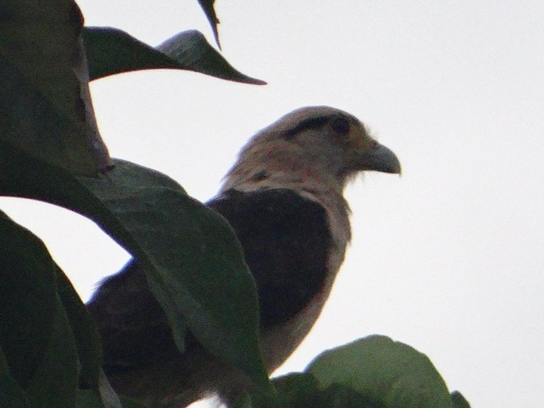 DSC04842.JPG