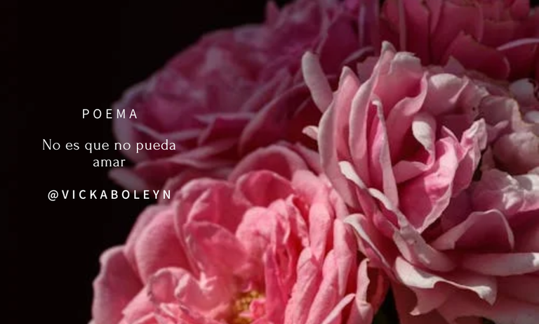 sobreamores.png