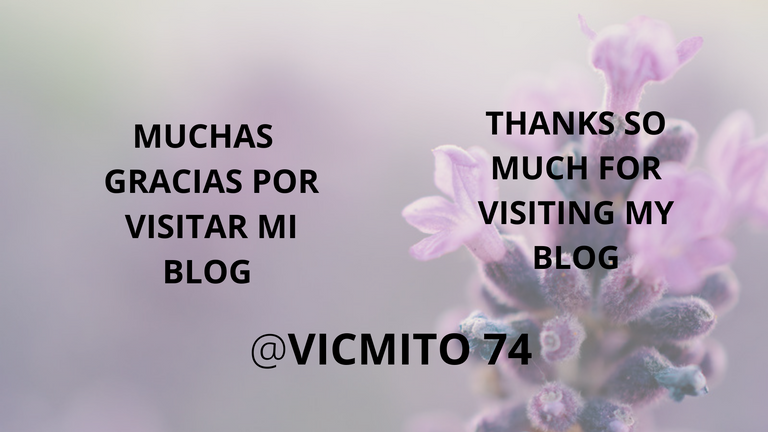 MUCHAS GRACIAS POR VISITAR MI BLOG (1).png