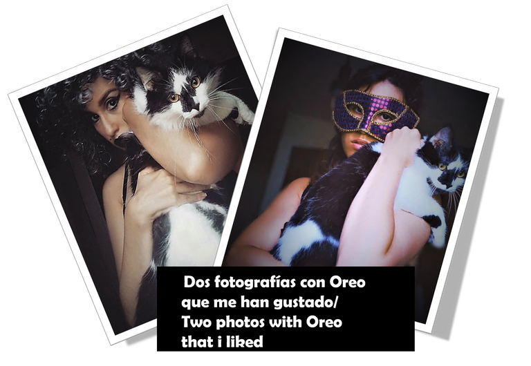 oreo3.png