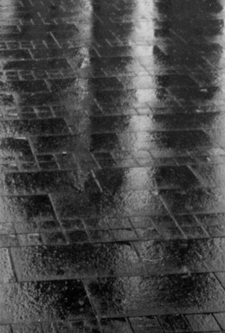 Rainy_2016_by_Victor_Bezrukov-5.jpg