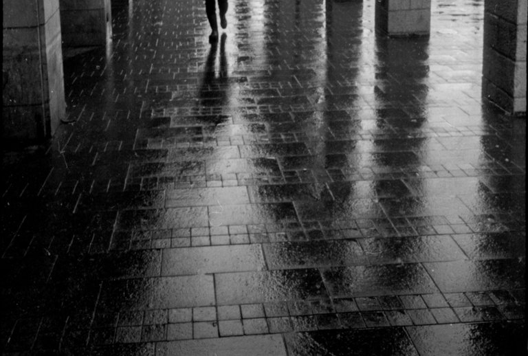 Rainy_2016_by_Victor_Bezrukov-2.jpg