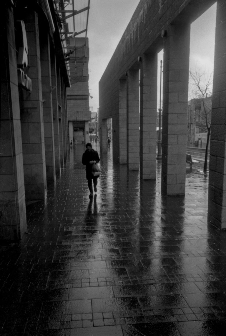 Rainy_2016_by_Victor_Bezrukov-1.jpg