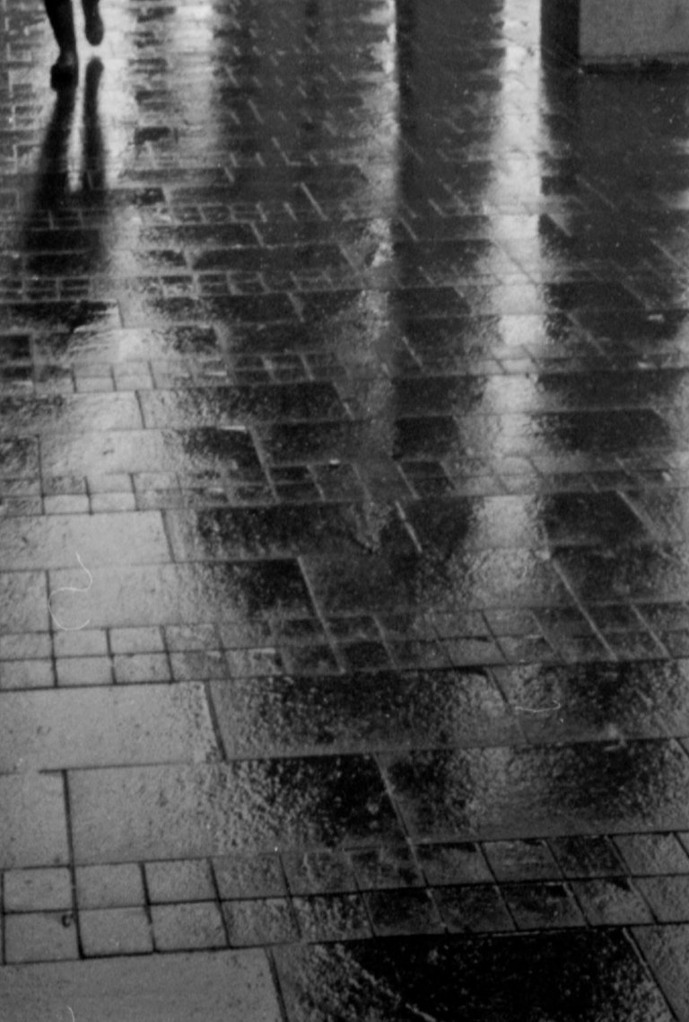 Rainy_2016_by_Victor_Bezrukov-3.jpg