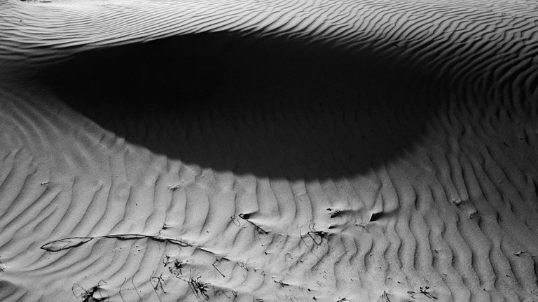 In_Dunes_2021_by_Victor_Bezrukov-7.jpg