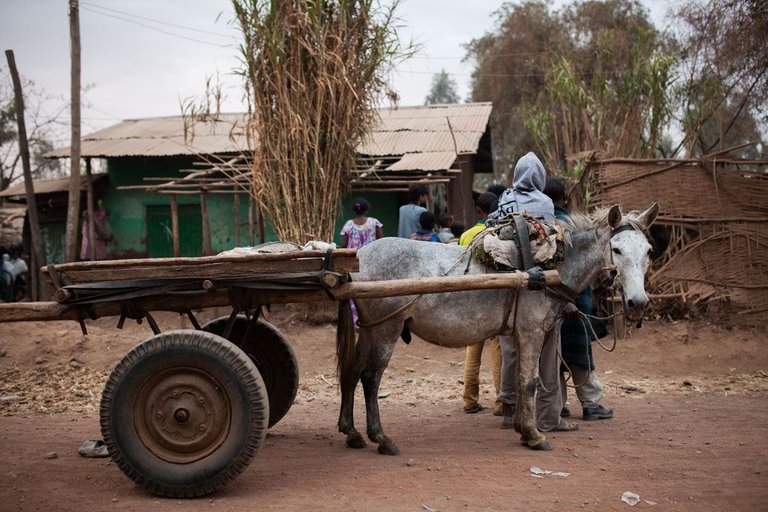 Ethiopia_Tuktuks_2015_by_Victor_Bezrukov-2.jpg