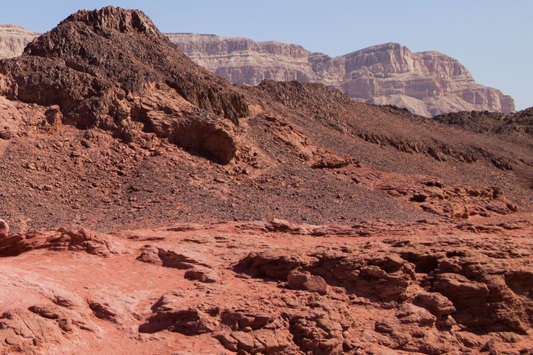 Timna_park_mushroom_2011_by_Victor_Bezrukov-5.jpg